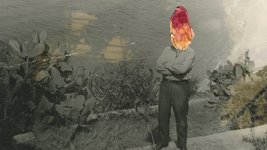 Thumbnail of Between Delicate and Violent