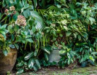 Thumbnail of Audacious Gardening: On Daring to Care - Wonderground