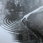 Thumbnail of Summer Stewart