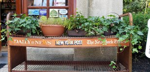 Thumbnail of Building a new model for community-centered local news