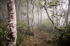 Thumbnail of Craig Mod — Writer + Photographer