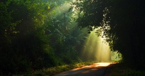 Thumbnail of Believing in Spirits and Life After Death Is Common Around the World