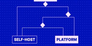 Thumbnail of To platform or not to platform