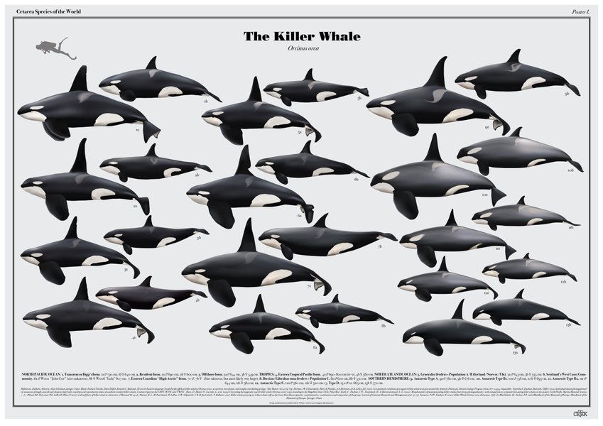 Preview of v-1710277076