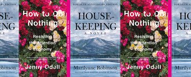 Thumbnail of States of Refusal in How to Do Nothing and Housekeeping - Ploughshares