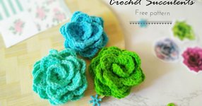 Thumbnail of Crochet Succulent free pattern