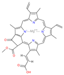 Thumbnail of File:Chlorophyll c2.svg - Wikimedia Commons