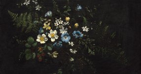 Thumbnail of Spray of Flowers and Ferns by Titian Ramsay Peale