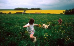 Thumbnail of Children today are cossetted and pressured in equal measure. Without the freedom to play they will never grow up