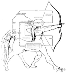 Thumbnail of Death drive - Wikipedia