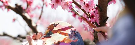 Thumbnail of Creator and Creation: Weekly Summary