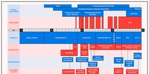 Thumbnail of Reflections upon turning 40