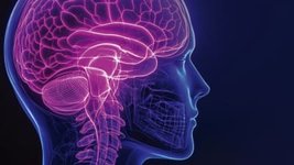 Thumbnail of Landmark FDA Clearance May Accelerate Compelling Digital Therapeutics