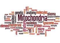 Thumbnail of The Mito-FIND project: Unlocking the secrets to mitochondrial disease with DNA from saliva