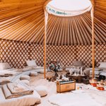 Thumbnail of Apotheka Natura + Psilocybin Retreat Centre | Spinoza