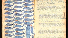Thumbnail of A Thousand Fibres Connect Us