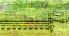 Thumbnail of Undersound: The Secret Lives of Ponds and the Mysterious Musicality of the World