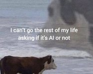 Thumbnail of The year we became slop