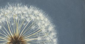 Thumbnail of How to Love the World More: Artist and Poet Rachel Hébert’s Breathtaking Catalogue of Gratitudes