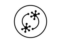 Thumbnail of Education - Neuromatch
