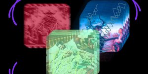Thumbnail of The Social App Thesis