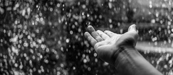 Thumbnail of Resources ~ RAIN: Recognize, Allow, Investigate, Nurture