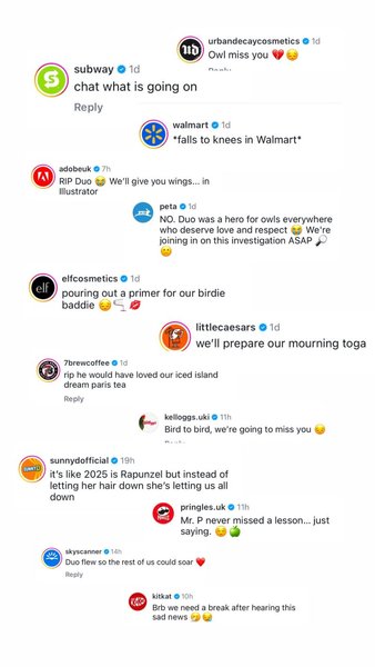 Thumbnail of feed updates