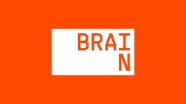 Thumbnail of BRAIN