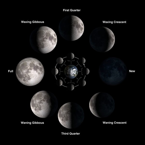 Thumbnail of Phases of the Moon - NASA Science