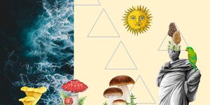 Thumbnail of Disconnection: Why "Nature Connection" Keeps Us Stuck