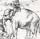 Thumbnail of Hanno (elephant)
