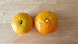 Thumbnail of 美味しいみかんは「左」or「右」？栄養士が“美味しいみかんの見分け方”を解説（栄養士食堂） - エキスパート - Yahoo!ニュース