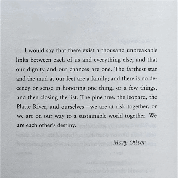 Preview of 103716am-png