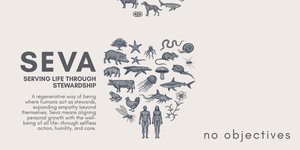 Thumbnail of Wisdom Is the Expansion of Empathy: