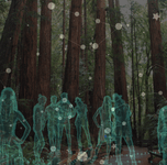 Thumbnail of Quantum Neuro-Holographic Thoughts from a Liminal Space