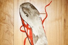 Thumbnail of Opinion | A Surprising Route to the Best Life Possible