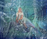 Thumbnail of Sara Cwynar: Alphabet