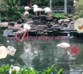 Thumbnail of panh (˶ˊᜊˋ˶)⭑.ᐟ on TikTok