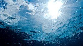 Thumbnail of 0.001mm以下の微細なプラスチック粒子が、静かに海を満たしつつある：研究結果
