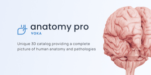 Thumbnail of VOKA Anatomy Pro - Complete Anatomy and Pathology 3D Atlas