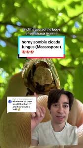 Thumbnail of mushroom growing from cicada - Google Search