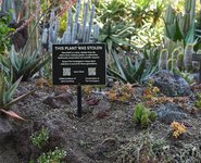 Thumbnail of Raising Awareness about the Illegal Plant Trade | The Huntington