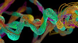 Thumbnail of Peptides Part 1: What Are Peptides, Where to Get Them, and Much More.