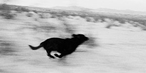 Thumbnail of The Days Run Away