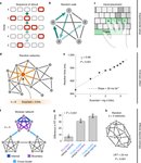 Thumbnail of Human information processing in complex networks