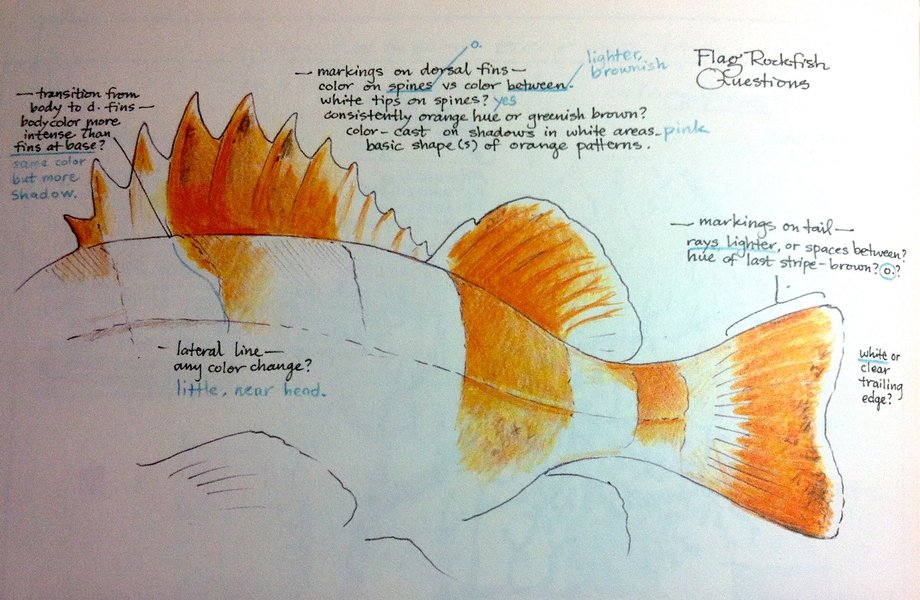 Thumbnail of More People Should Write