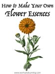 Thumbnail of Make Your Own Flower Essences — Worts & Cunning Apothecary | Intersectional Herbalism + Magickal Arts