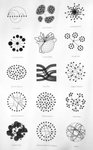 Thumbnail of Found on Cosmos