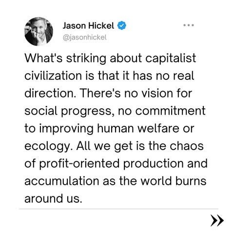 Thumbnail of AI in the garden