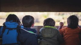 Thumbnail of The lost art of wondering — Stacey Durnin